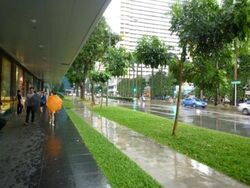 Orchid Hotel (D2), Retail #328933201